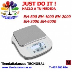 GRAM EH-500/1000/2000/3000/6000g 0,01/0,1g Balanza de precisión portada
