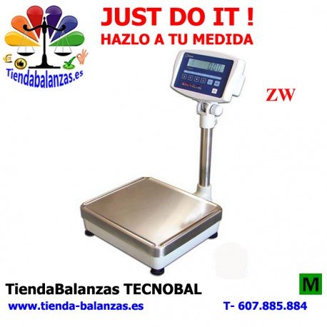 ZW-6/15/30/60Kg 2/5/10/20g 360x320mm Báscula Baxtran portada